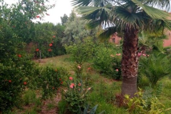 f5185205-c92f-4e43-b598-59abdc81973f