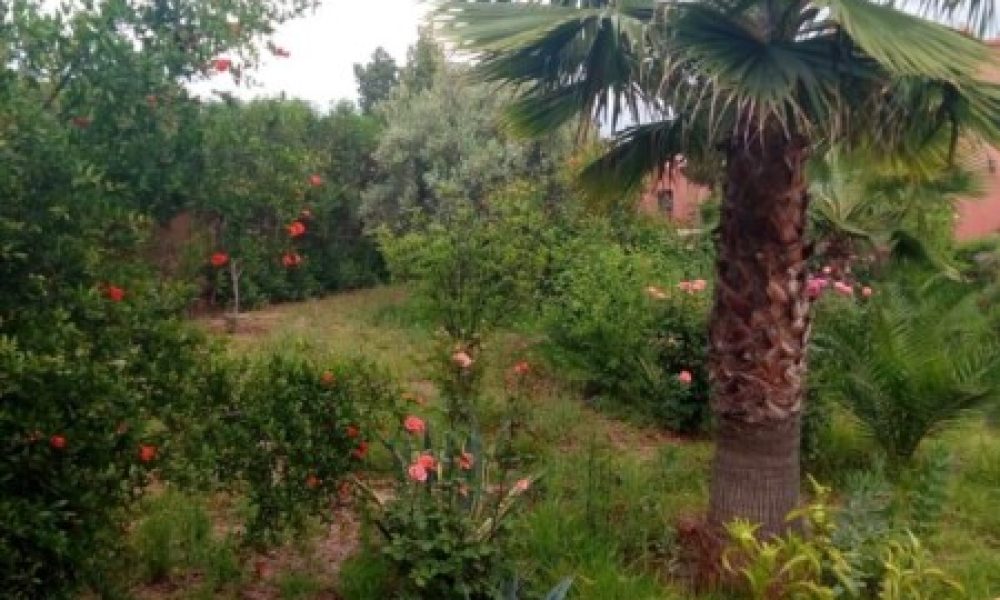 f5185205-c92f-4e43-b598-59abdc81973f