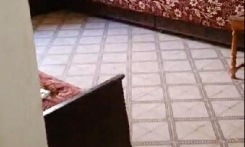 maison de ville a vendre a marrakech 5